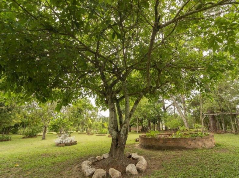 Chácara, 3 quartos, 5000 m² - Foto 6