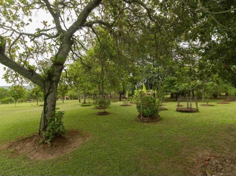 Chácara, 3 quartos, 5000 m² - Foto 8