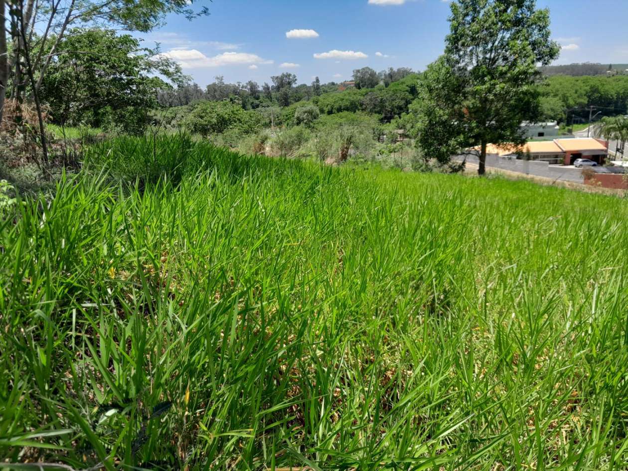 Terreno, 502 m² - Foto 4