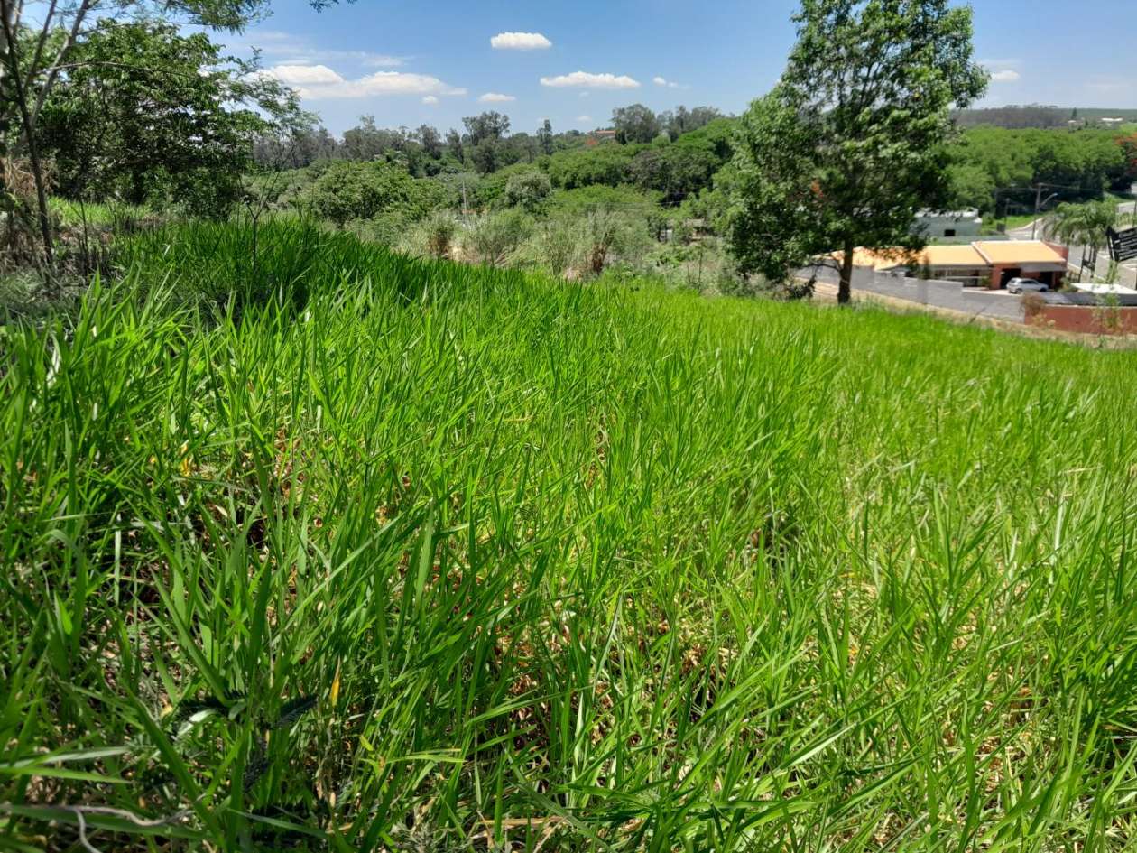 Terreno, 502 m² - Foto 5