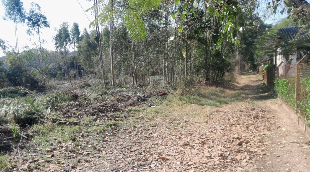 Chácara, 5000 m² - Foto 3