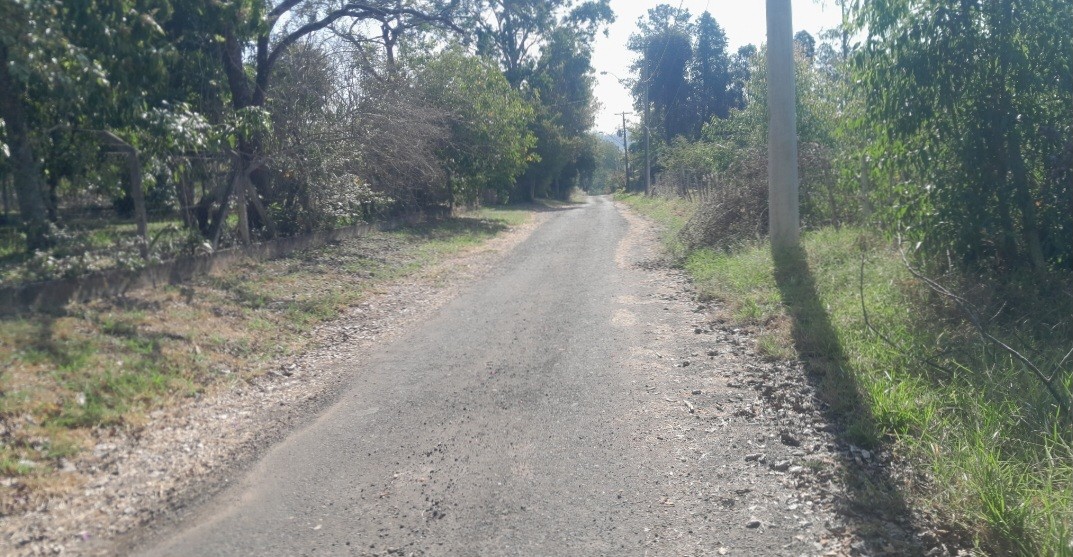 Chácara, 5000 m² - Foto 5