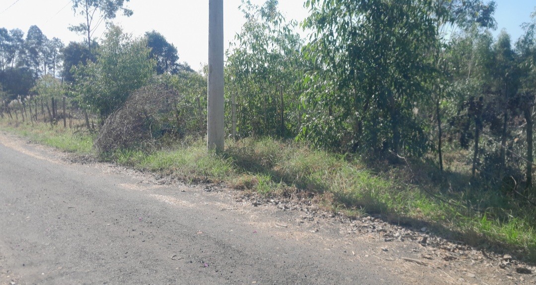 Chácara, 5000 m² - Foto 7