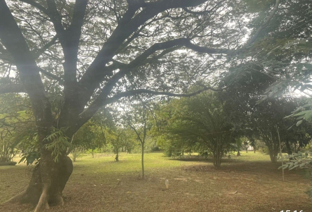 Chácara, 4 quartos, 5000 m² - Foto 8