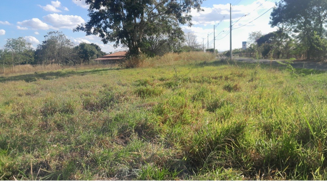 Chácara, 5000 m² - Foto 3