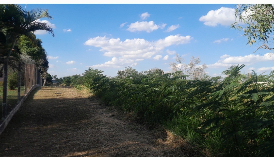 Chácara, 5000 m² - Foto 3