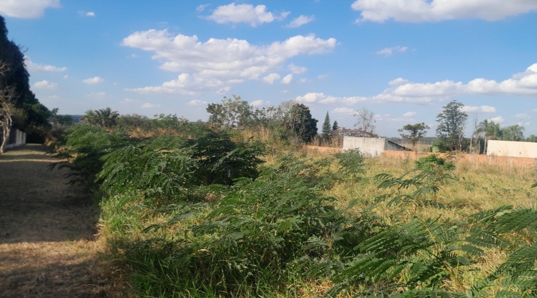 Chácara, 5000 m² - Foto 4