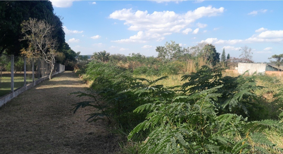 Chácara, 5000 m² - Foto 5