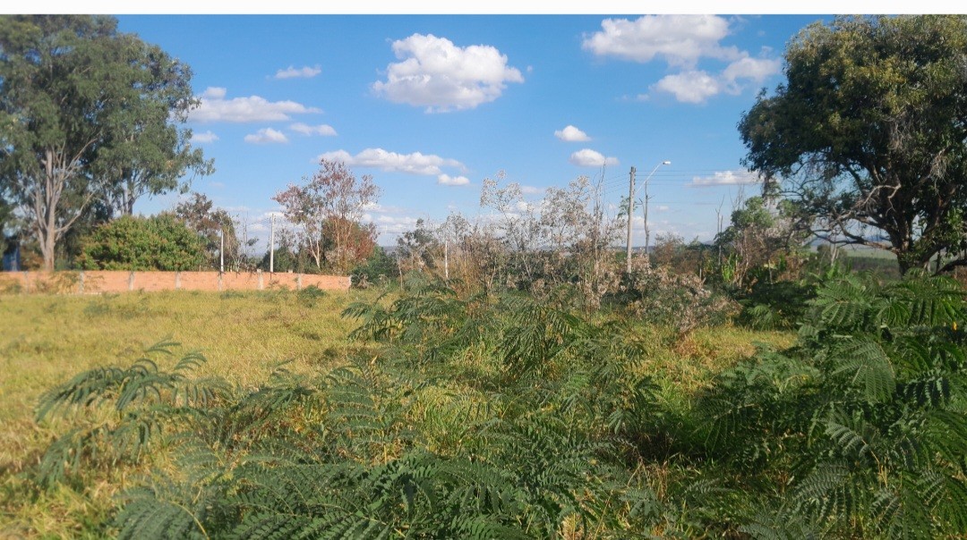 Chácara, 5000 m² - Foto 6