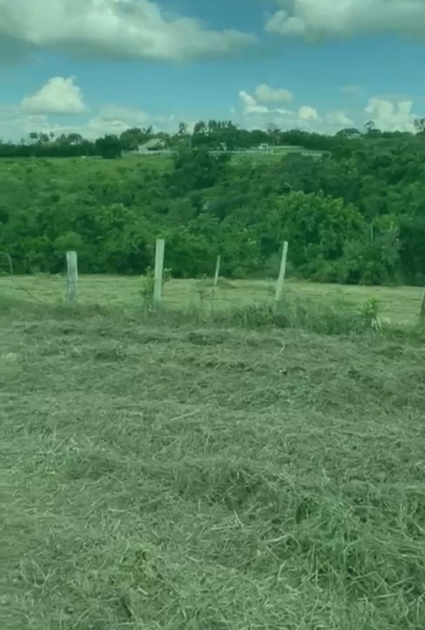 Chácara, 3238 m² - Foto 4