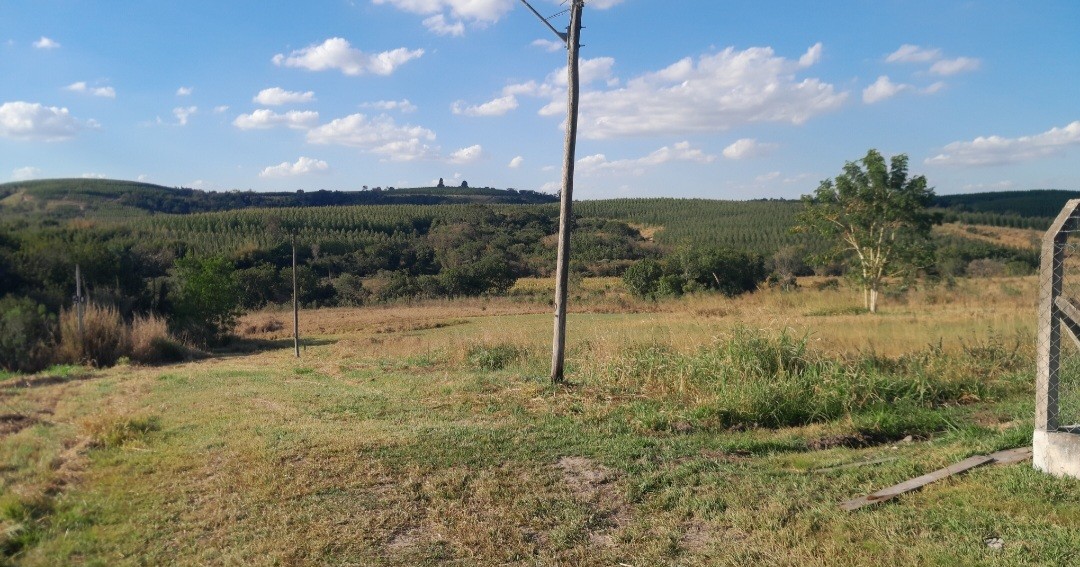 Chácara, 5000 m² - Foto 4