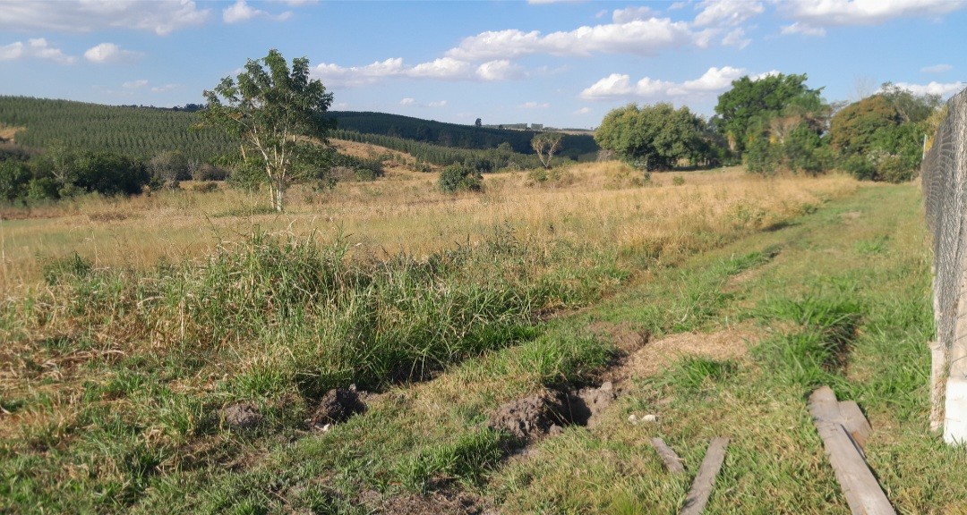 Chácara, 5000 m² - Foto 5