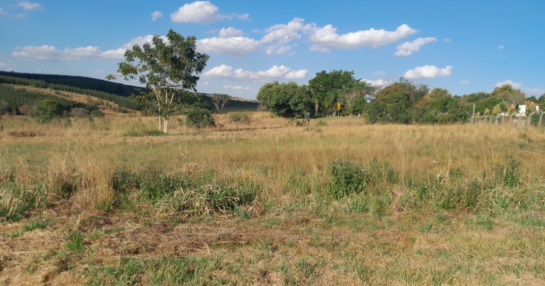 Chácara, 5000 m² - Foto 6