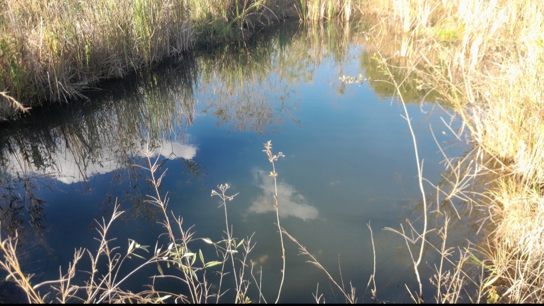 Chácara, 5000 m² - Foto 10