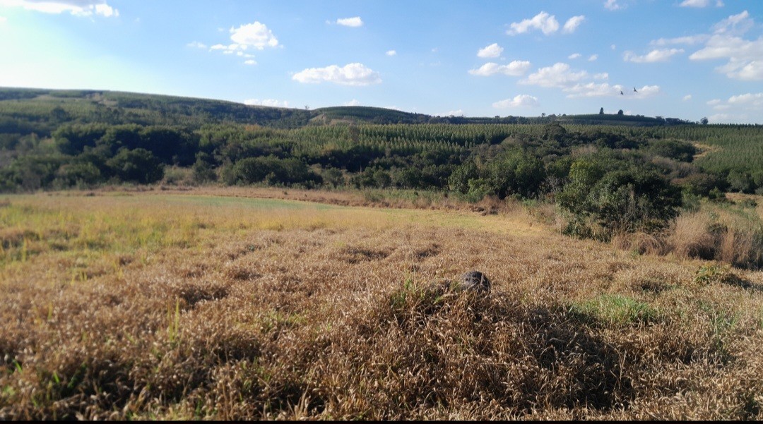 Chácara, 5000 m² - Foto 9