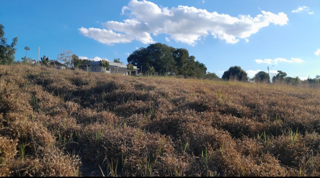 Chácara, 5000 m² - Foto 11