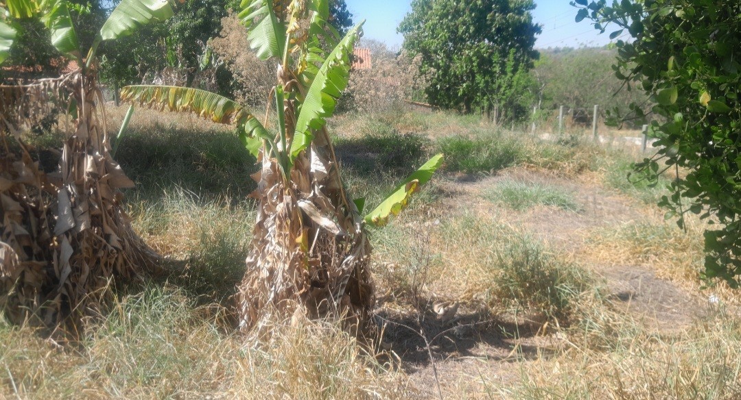 Terreno, 500 m² - Foto 6