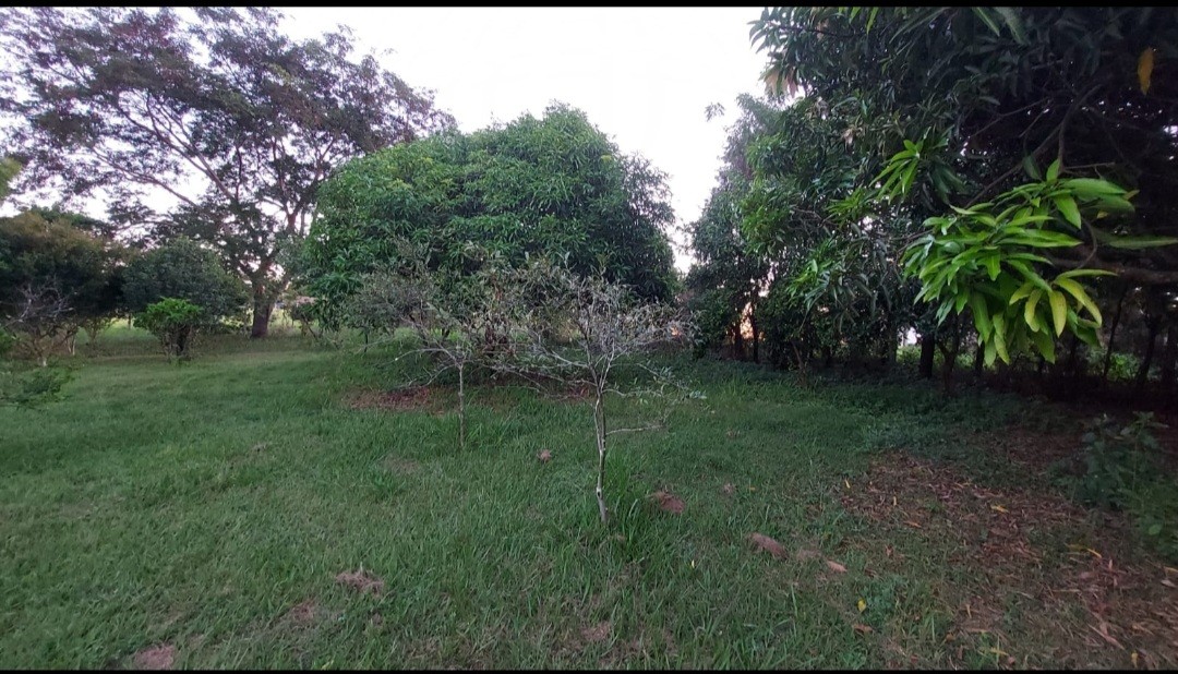 Chácara, 2 quartos, 5000 m² - Foto 9