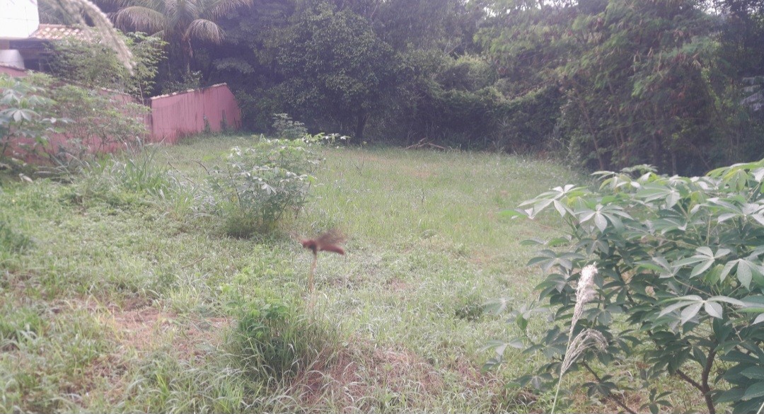 Terreno, 700 m² - Foto 3