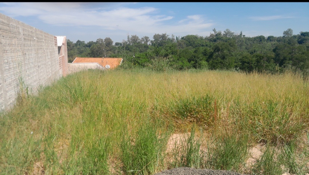 Terreno, 391 m² - Foto 5