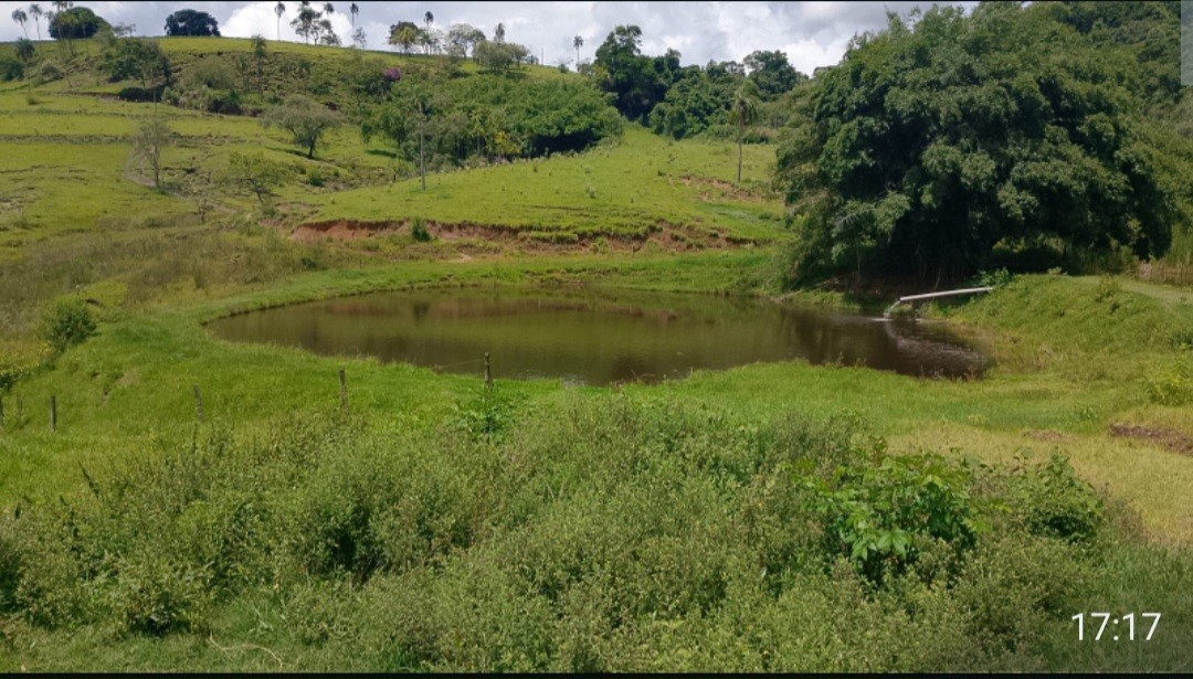 Fazenda, 73 hectares - Foto 1