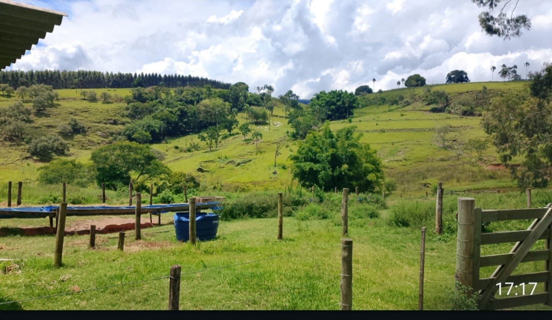Fazenda, 73 hectares - Foto 2