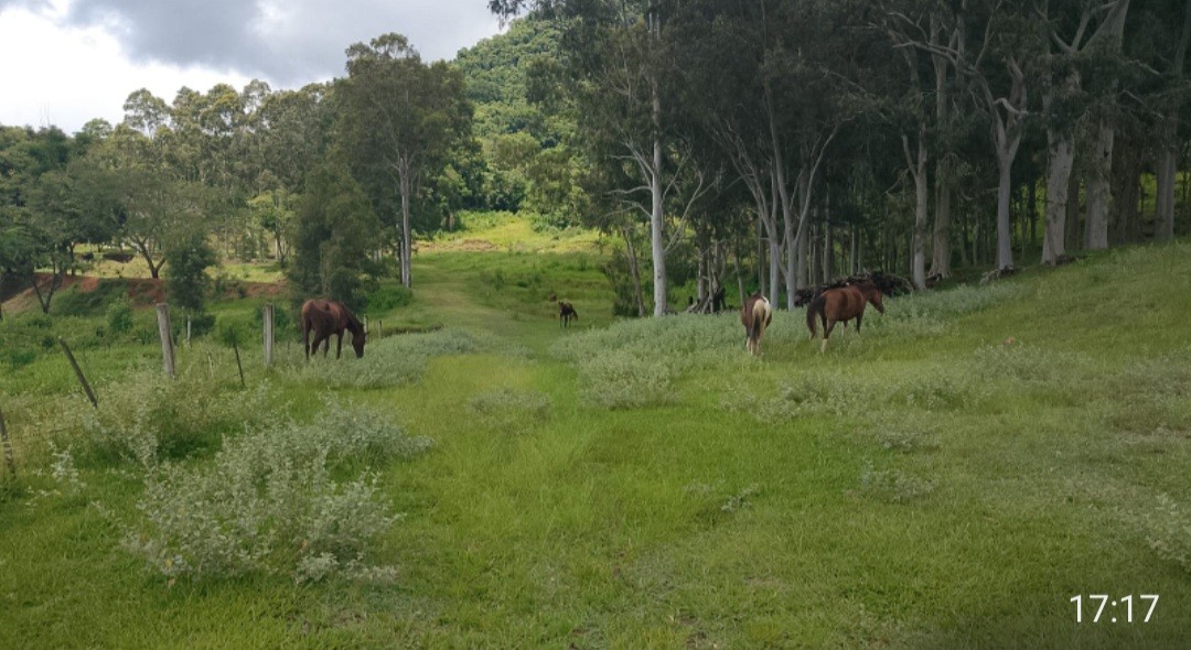 Fazenda, 73 hectares - Foto 3