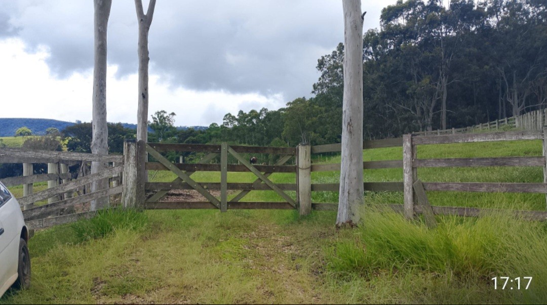 Fazenda, 73 hectares - Foto 9