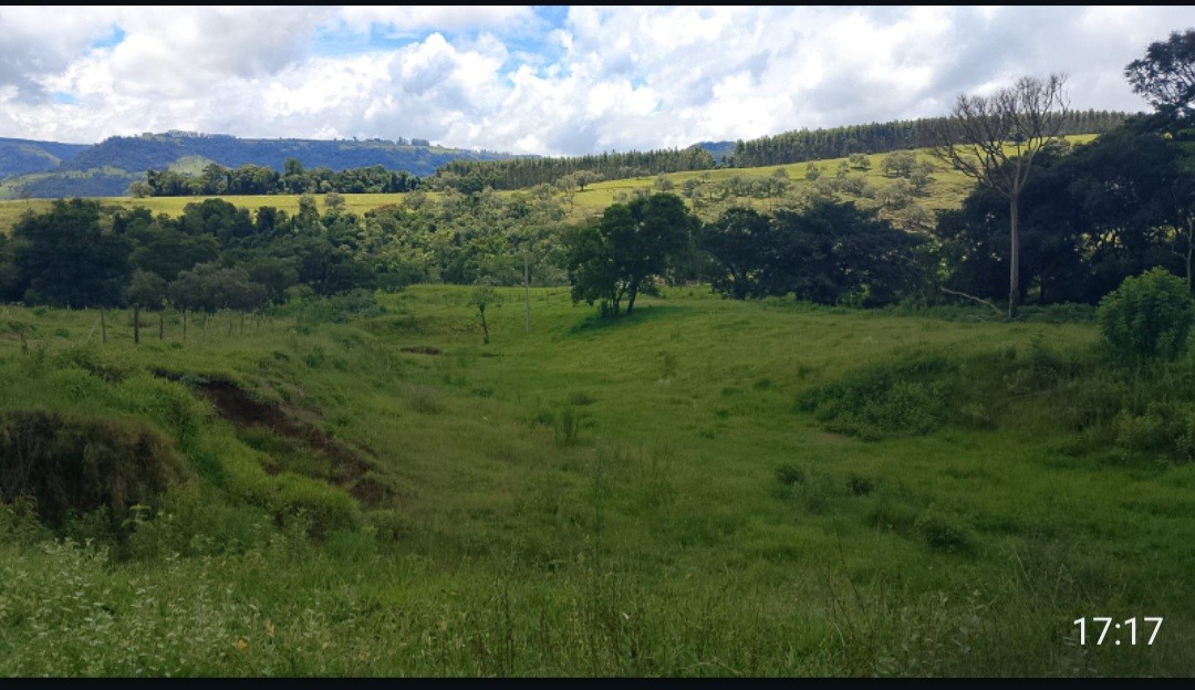 Fazenda, 73 hectares - Foto 5