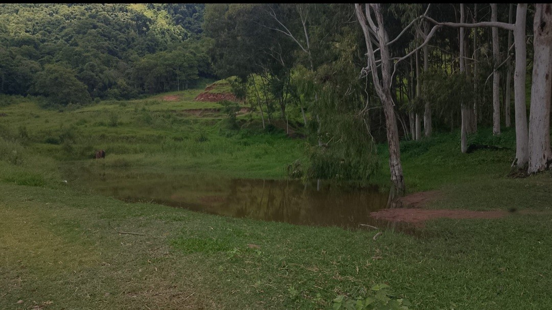 Fazenda, 73 hectares - Foto 10