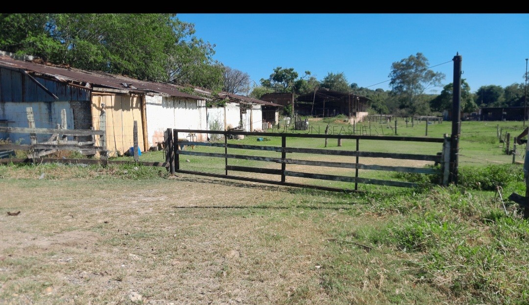 Fazenda, 32 hectares - Foto 5