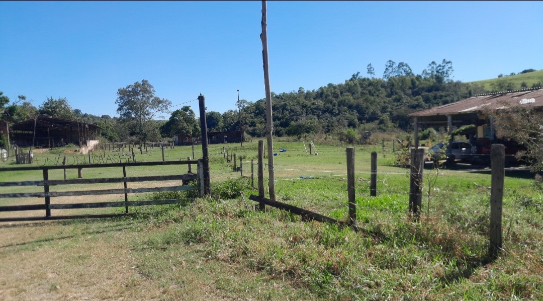 Fazenda, 32 hectares - Foto 10