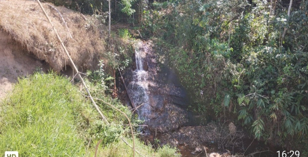 Fazenda, 32 hectares - Foto 13