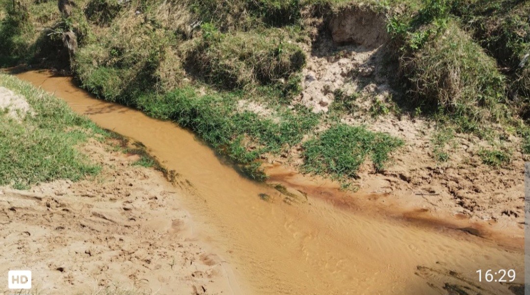 Fazenda, 32 hectares - Foto 14