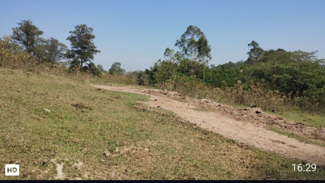 Fazenda, 32 hectares - Foto 15