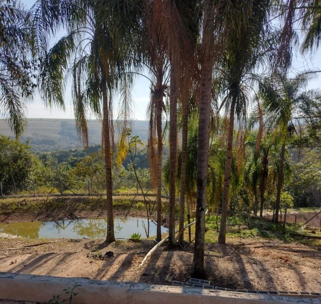 Fazenda, 5040 m² - Foto 11