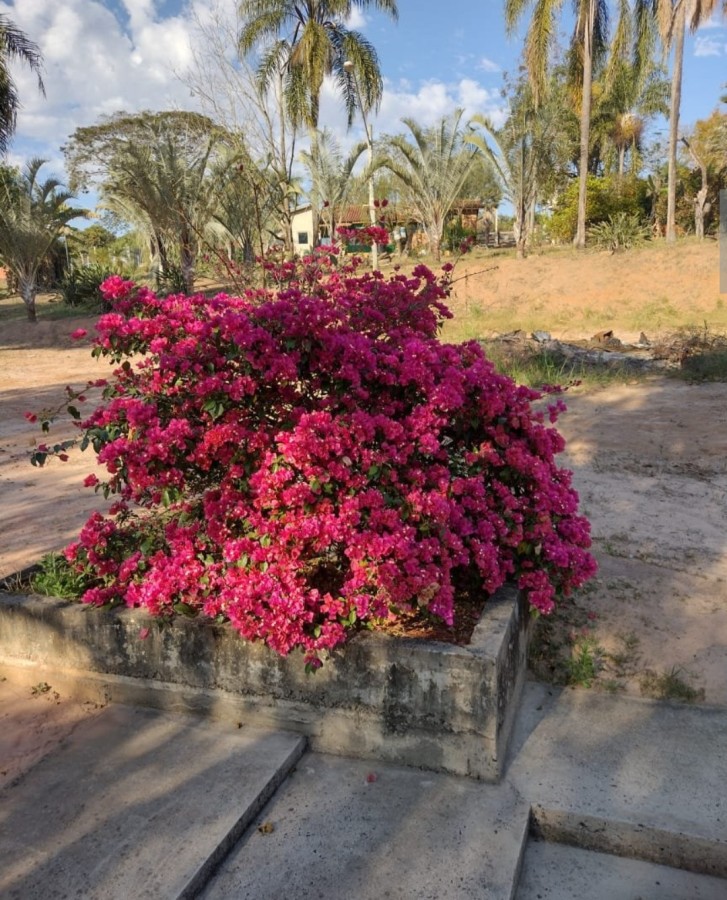 Fazenda, 5040 m² - Foto 12