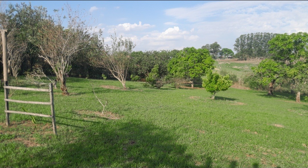 Fazenda, 7000 m² - Foto 10