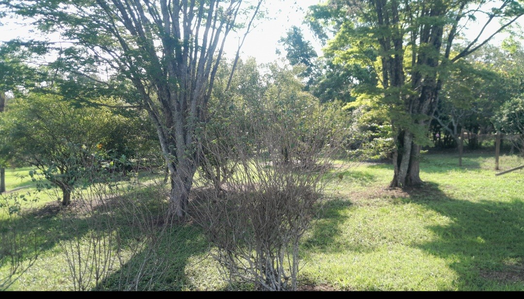 Fazenda, 7000 m² - Foto 14