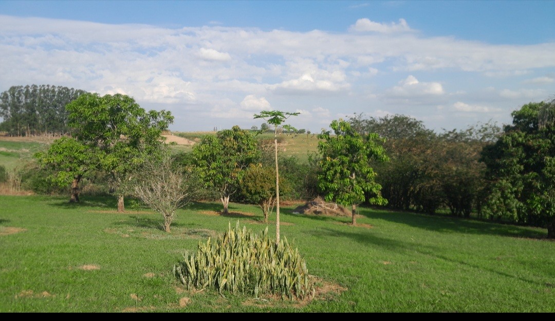 Fazenda, 7000 m² - Foto 11