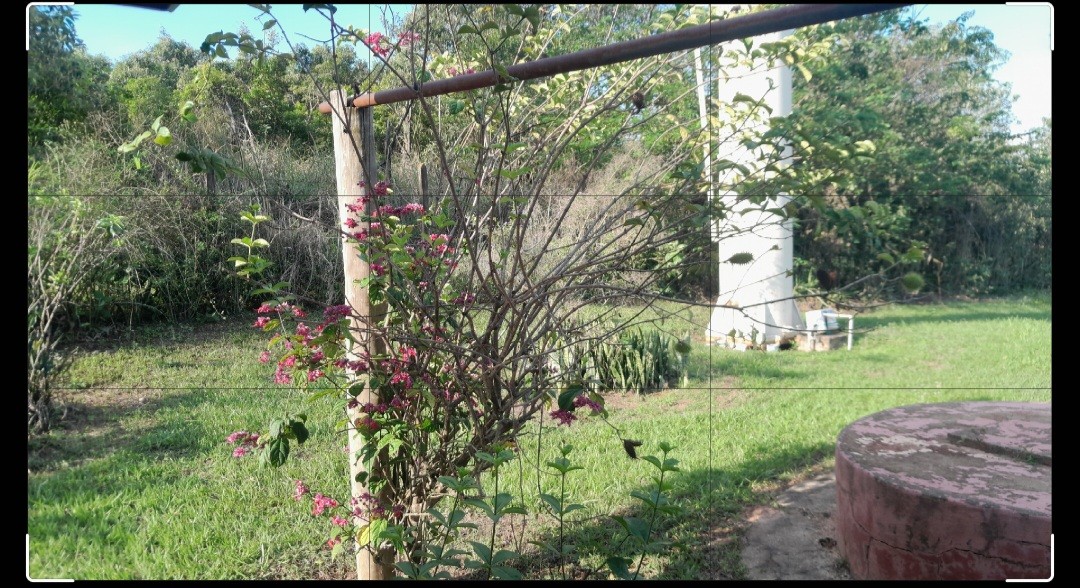 Fazenda, 7000 m² - Foto 30