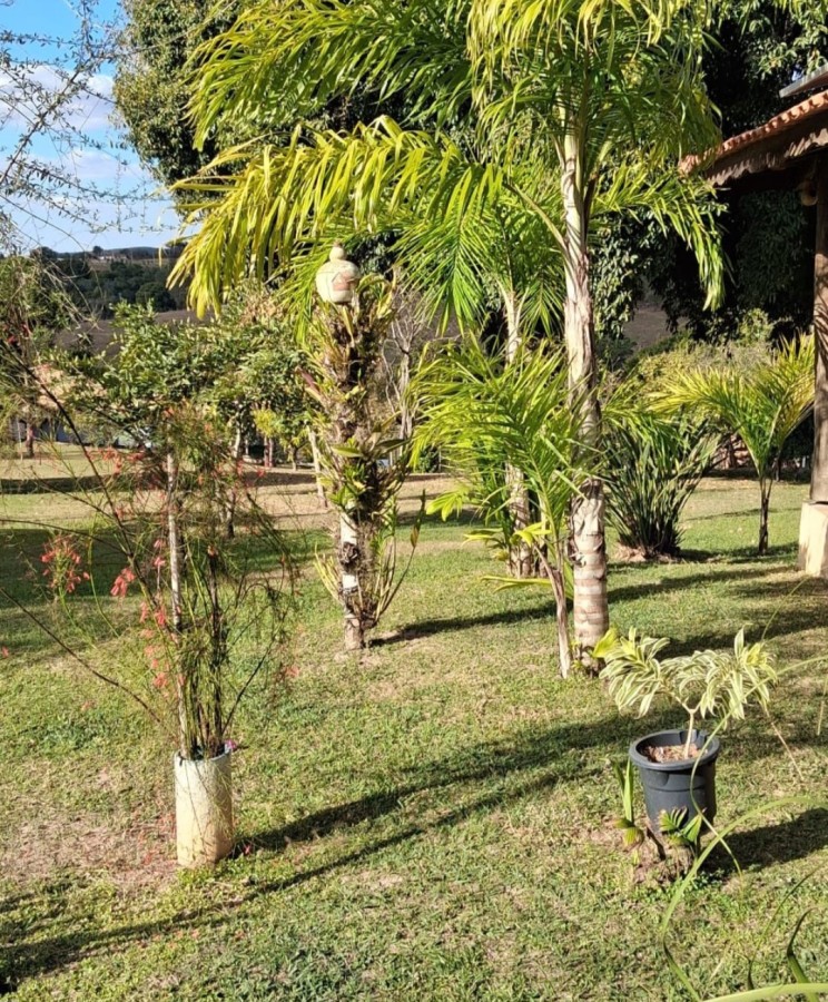 Fazenda, 5000 m² - Foto 3