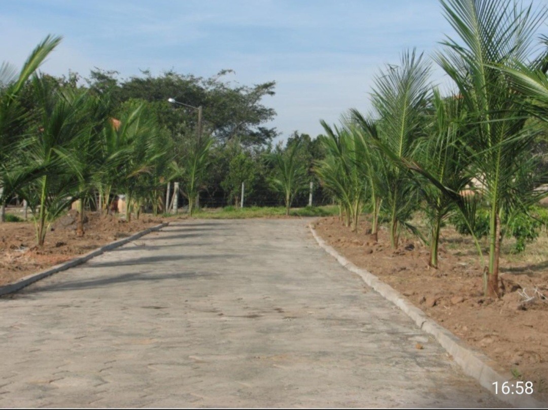 Fazenda, 12 hectares - Foto 4