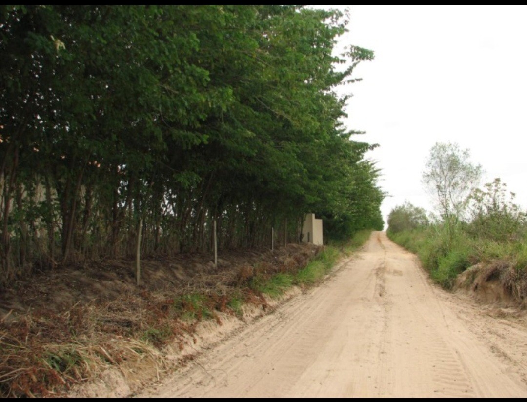 Fazenda, 12 hectares - Foto 7