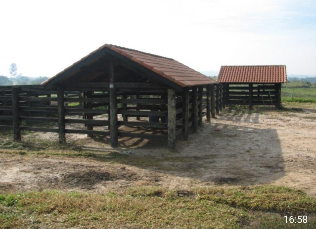 Fazenda, 12 hectares - Foto 11