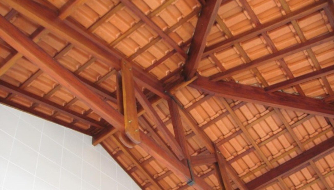 Fazenda, 12 hectares - Foto 18